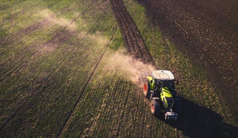 Alimentos_Sostenibles-e1700222591363