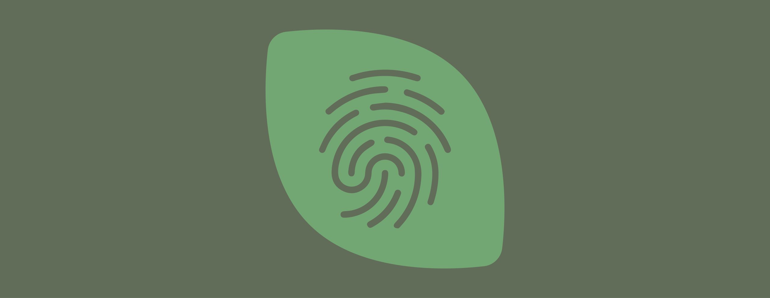 PW_BlogWEB_Huella_capcalera-46-scaled