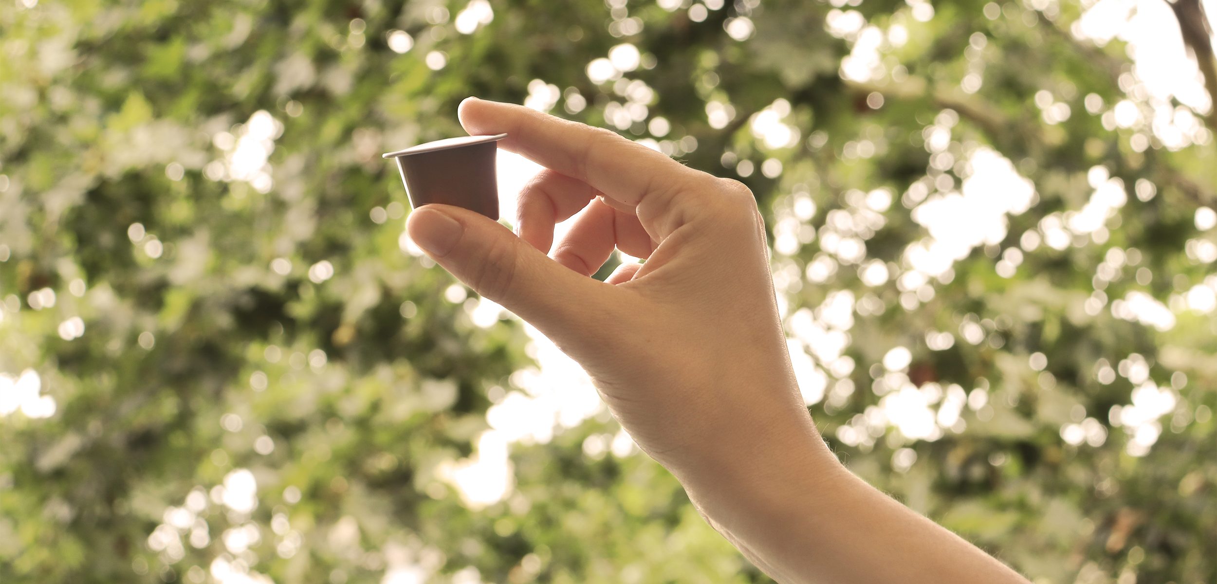 PW_BlogWEB_capsula_cafe_sobre_verd-e1687425326176