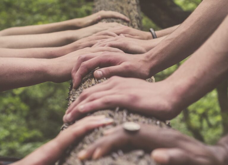 PW_BlogWEB_fundacions-scaled