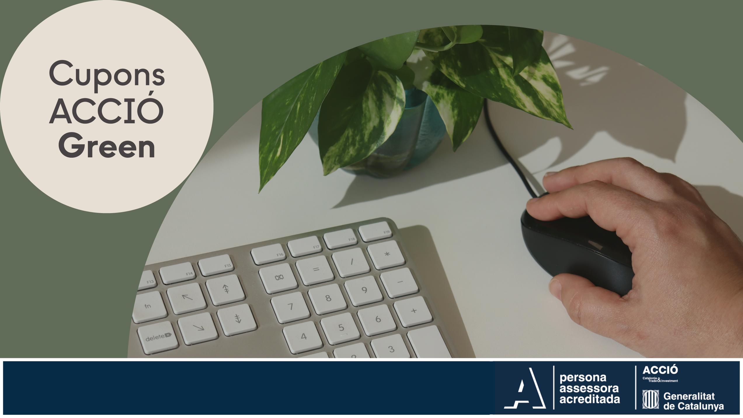 PW_cupons_accio_green