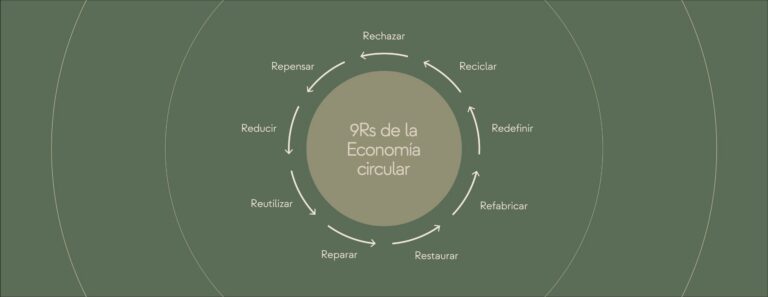 PW_grafic_cercle_EC_BLOG-scaled