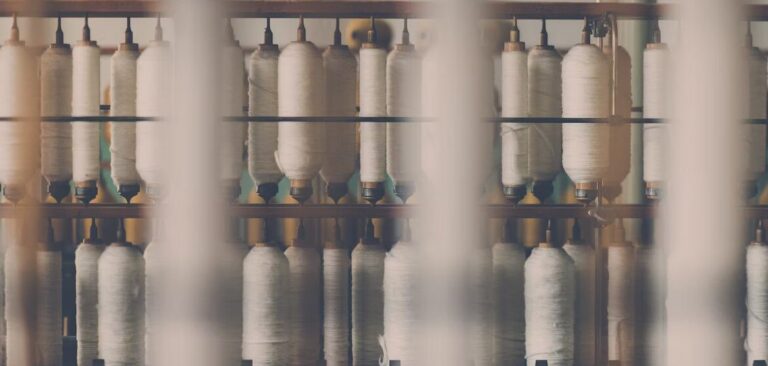 portada-e1691393175769